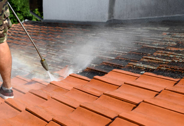 Best Pressure Washing Near Me  in Saegertown, PA