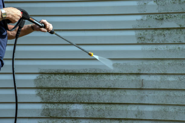 Best Roof Power Washing Services  in Saegertown, PA