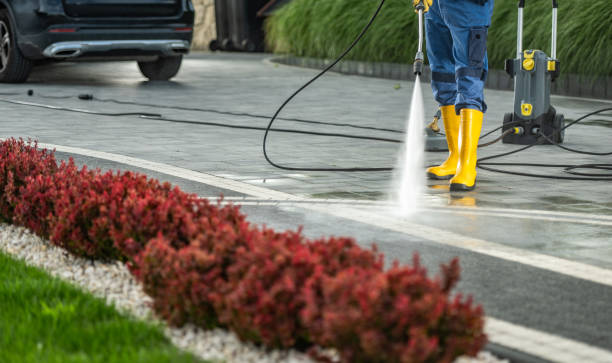 Best Pressure Washing Near Me  in Saegertown, PA