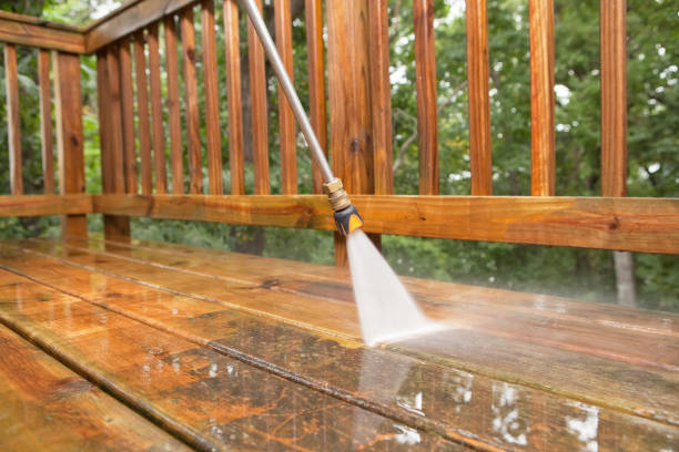 Best Residential Pressure Washing Services  in Saegertown, PA