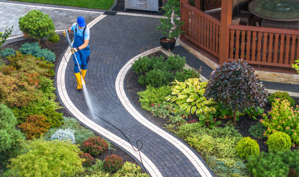 Best Pressure Washing Company Near Me  in Saegertown, PA